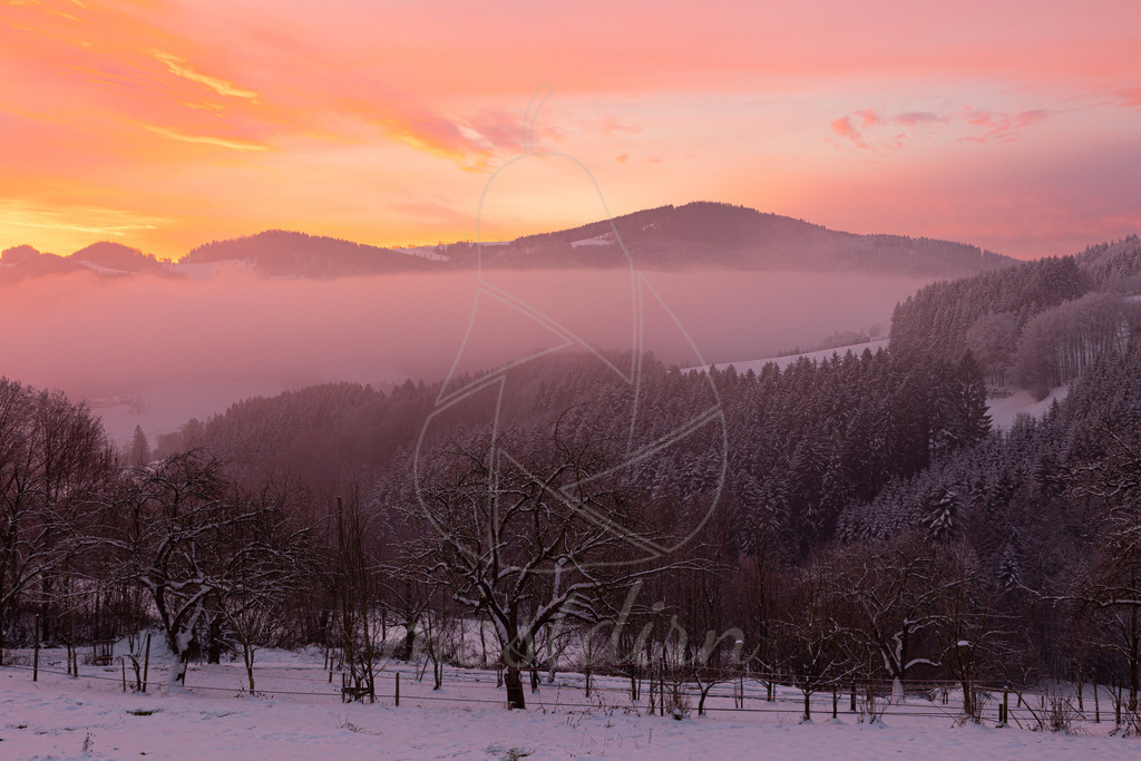 Winterliches Morgenrot | Bei Veröffentlichung des Bildes ist eine Namensnennung wie folgt erforderlich: 
Foto: Mostdirn Irmgard Wieser - Realisiert mit Pictrs.com