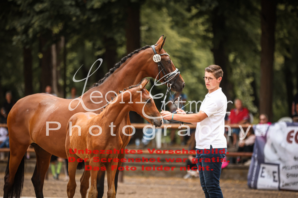 SaFohlen00068 | Leoni Ertmer Photography - Realisiert mit Pictrs.com