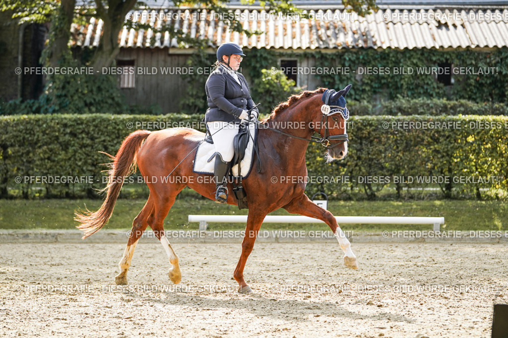 DSC07955 | Pferdegrafie