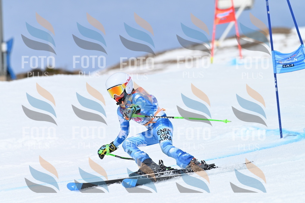 BGV_1783 | holidayphoto