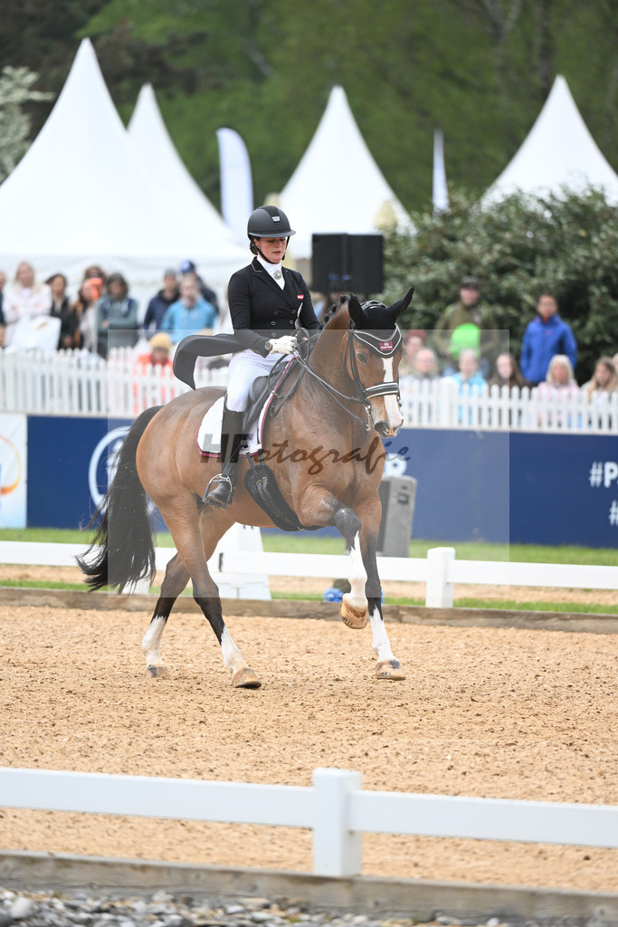 Haas_Let it Be NRW_11232617 | hf-fotografie - Realisiert mit Pictrs.com