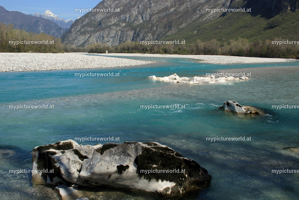 Tagliamento-004 | Das Bilderarchiv über Tiere, Planzen und Landschaften. In der Bilddatenbank finden Sie ein große Auswahl an hochwertigen Bilder für Ihre Werbung - Realisiert mit Pictrs.com