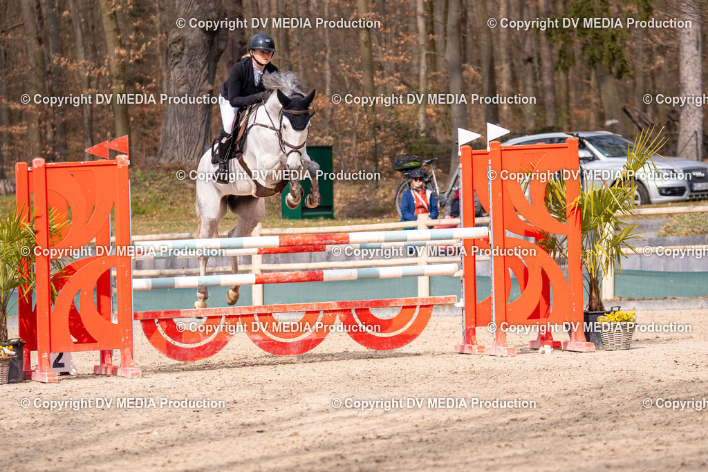 Kranichstein Tag 2-1996 | dv-media-shop - Realisiert mit Pictrs.com