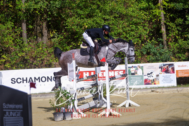 DKP42350 | Turniersportfotografie; Pferdefotografie; Dressurfotografie