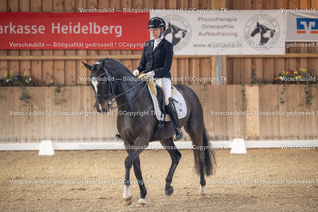 _D5A2577 | Emotionale Pferde- & People-Fotografie rund um Heidelberg, Leimen & Umgebung. Natürliche Fotos von Pferd, Mensch & Familie. Jetzt Termin sichern!