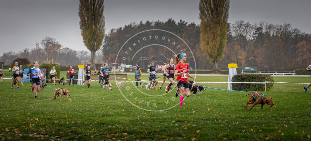CaniXpix_DV3A8833 | Hundefotografie, Tierfotograf, Pfotenfotografie, Fotoshooting Hund, Hunde Portrait, Hundesport, Hundeportraits, Heideshooting, Hunde, Sportfotograf, Hundefotograf, Turnierhundsport, THS,  - Realisiert mit Pictrs.com