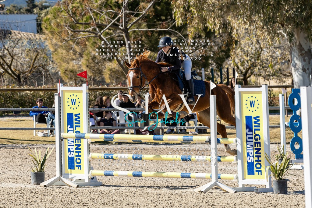 IMG_1320 | s-jay-photography - Realisiert mit Pictrs.com