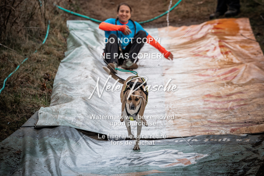 nelerasche_1130-1230_100 | nelerasche
