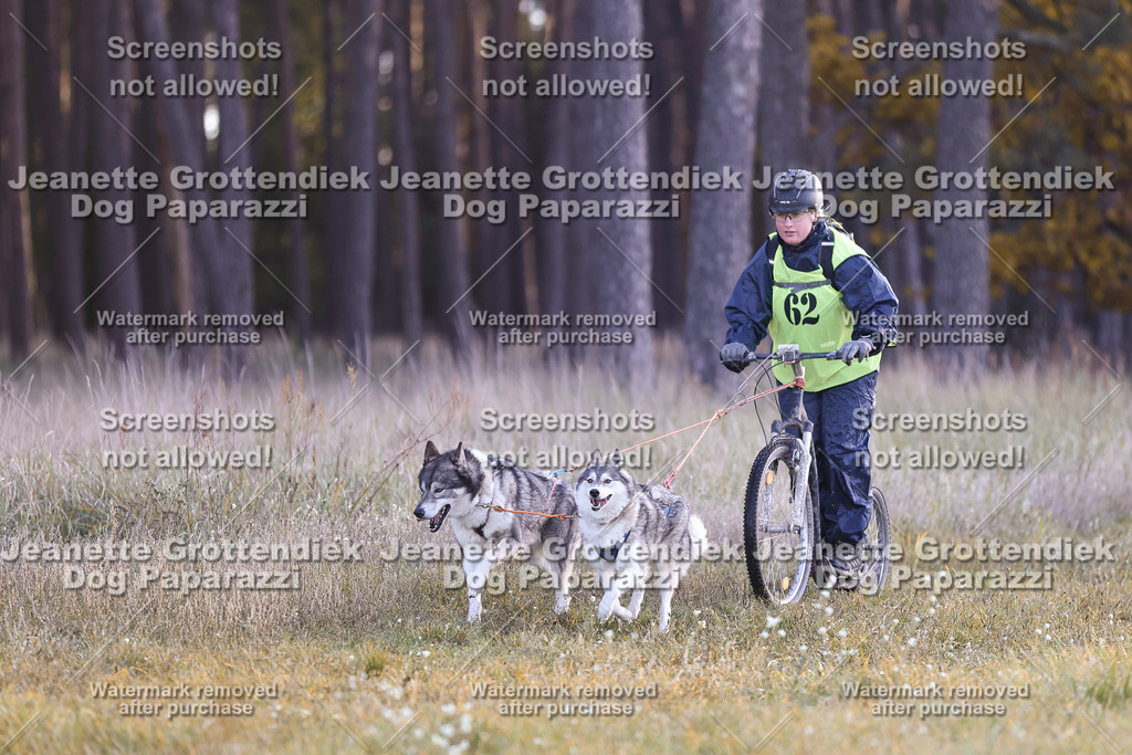 Dog Paparazzi - Elsholz 25 -31 | Dog Paparazzi Jeanette Grottendiek Fotografie & Videografie - Realisiert mit Pictrs.com