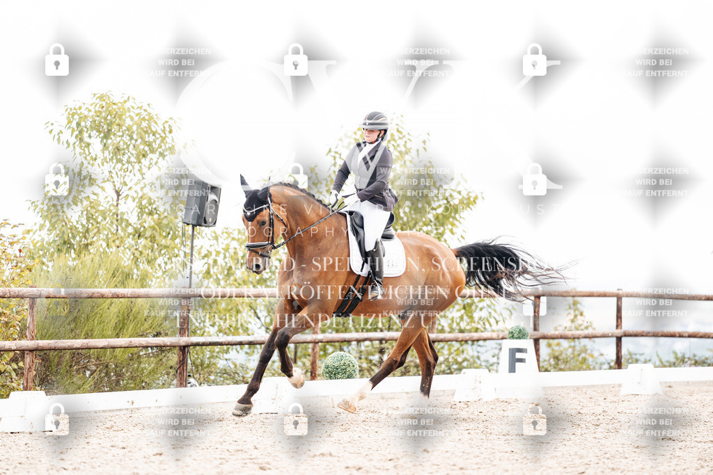 CK900837 | Turnierfotografie Pferdefotografie Trier Rheinland-Pfalz Pferdesport Reitsport Tierfotografie Sportfotografie Pferdevideo Pferdevideografie Equestrianvideography equestrianphotography  - Realisiert mit Pictrs.com