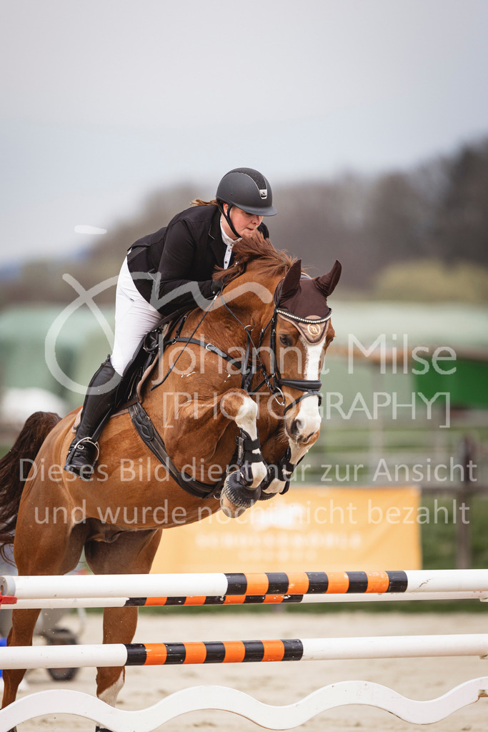240327_Fruehlingsfest_Stil-L-2-368 | Deine schönsten Turniermomente als professionelle Fotos! Entdecke hochwertige Pferdesport-Fotografie im Online-Shop. Jetzt Fotos finden & bestellen!