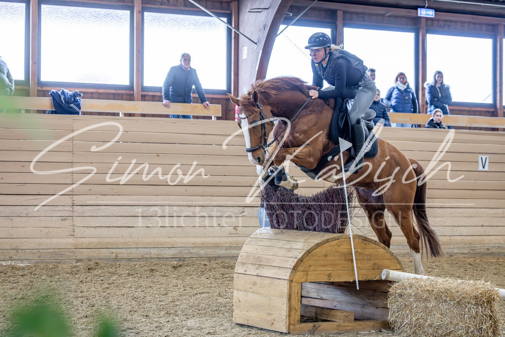 20260222-_3LI2406 | Tierfotografie Pferde, Hunde, Katzen, Haustiere.
Turnierfotografie Reitturniere, Reiten, Springreiten, Dressur in Hanau, dem Main-Kinzig-Kreis und dem Rhein-Main- Gebiet um Frankfurt