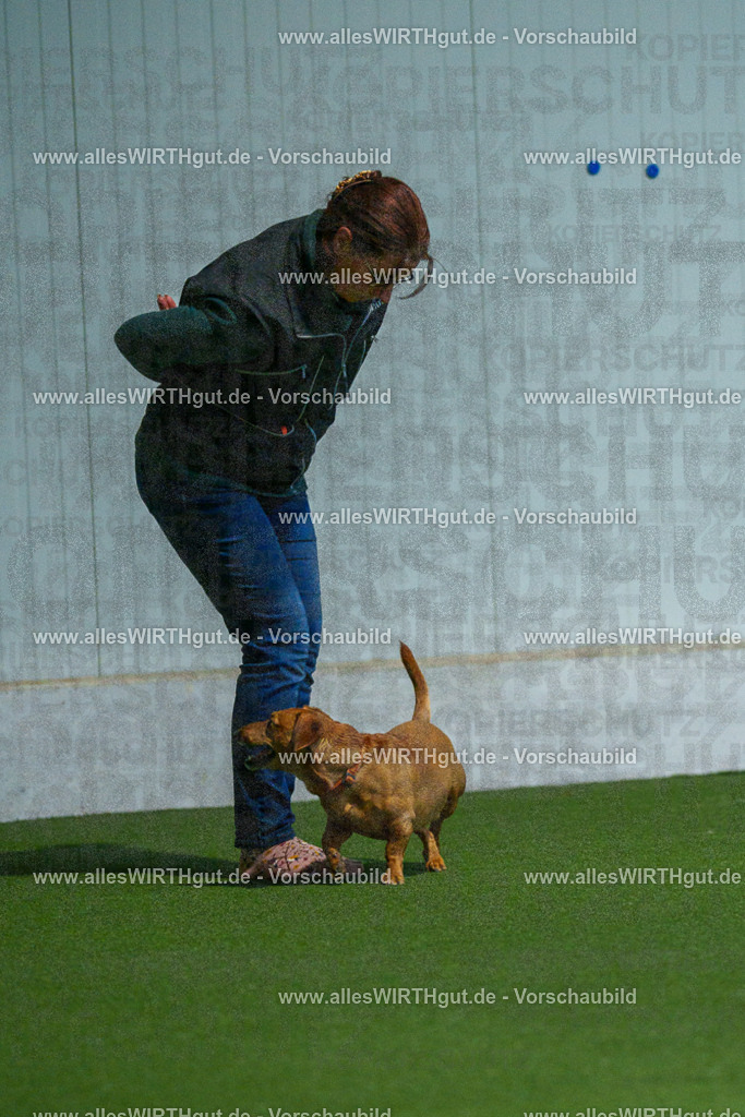 7R501932 | Professionelle Tierfotografie in Mönchengladbach von Daniel Wirth (allesWIRTHgut). Liebevolle & natürliche Bilder von Hunden & Katzen für unvergessliche Erinnerungen.