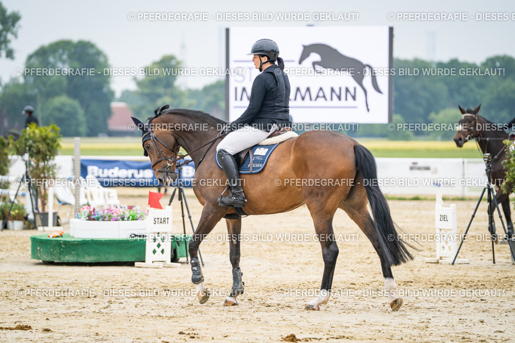 DSC00298 | Pferdegrafie