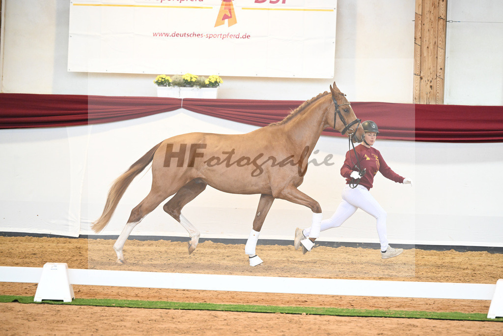 Kat-Nr. 56 v. Vivaldos_Fischer_66220817 | hf-fotografie - Realisiert mit Pictrs.com