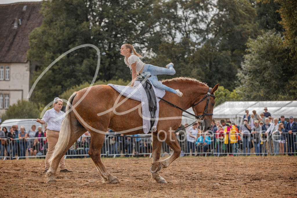 846A3861 | fotosleben - Realisiert mit Pictrs.com