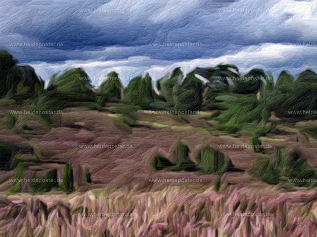 brushed_201108_heide_totengrund_DSCF6791 | Poster aus der Lüneburger Heide - Realisiert mit Pictrs.com