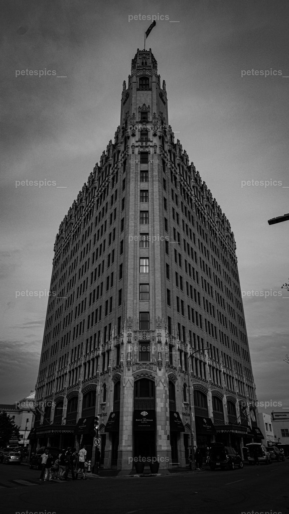IMG_8831 | petespics