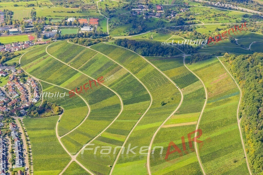 weinberg-korb-exclusive-geschenkidee-9447-jahr-2025 | Schrägluftbild  Weinberg  Korb - Das Luftbild wurde 2025 vom UL-Flugzeug heraus erstellt ( keine Drohne ) - Hochauflösende Luftaufnahme -Nicht vergleichbar mit Google Maps oder Satelittenbilder- Die Geschenkidee !Mit Lizenz und Bildrechte bestellbar