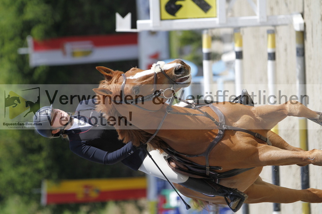 _MG_8645 | equestrian-live-com