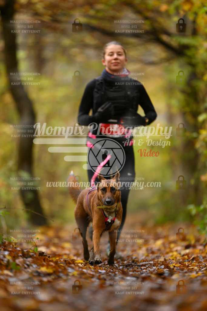 MompixPhotography_CD7S_DI_CCL-172 | mompixphotography