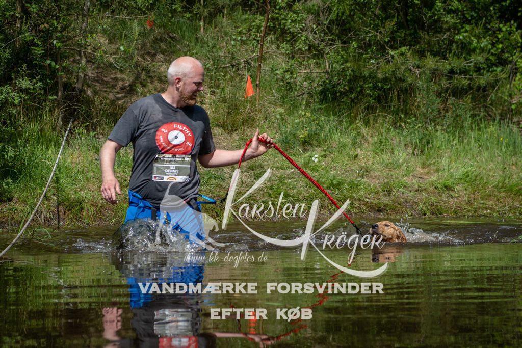 1144DKK990998 | kk-dogfotos