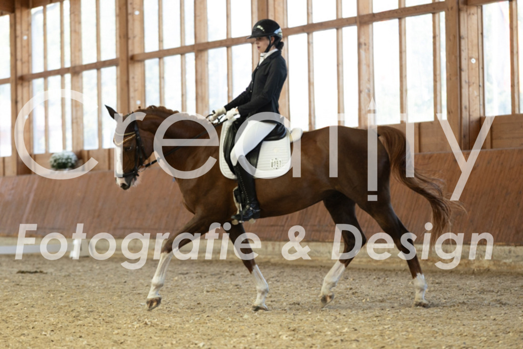 IMG_5262 | Creatify Fotografie