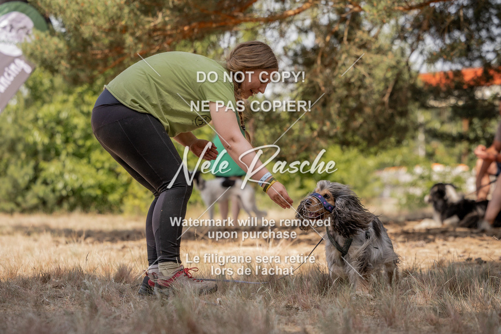 nelerasche_soDD2_355 | nelerasche
