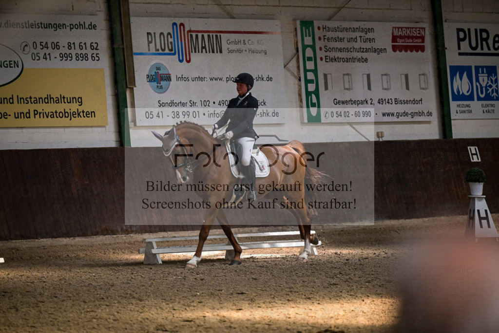Reitturnier Voxtrup | Entdecke hochwertige Reitturnierfotos von Foto Oger. Professionell, emotional und authentisch – jetzt Lieblingsmomente im Shop bestellen.Deutschlandweite Turnierfotografie. - Realisiert mit Pictrs.com