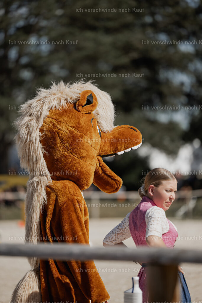 _AM27805 | working equitationturnier fotograf videograf stoibphotography marixx film working equitation deutschland reitsport turnierfotografie eventfotografie equestrian events