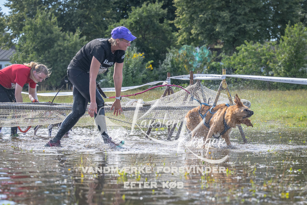 1208_ZZ90238 | kk-dogfotos