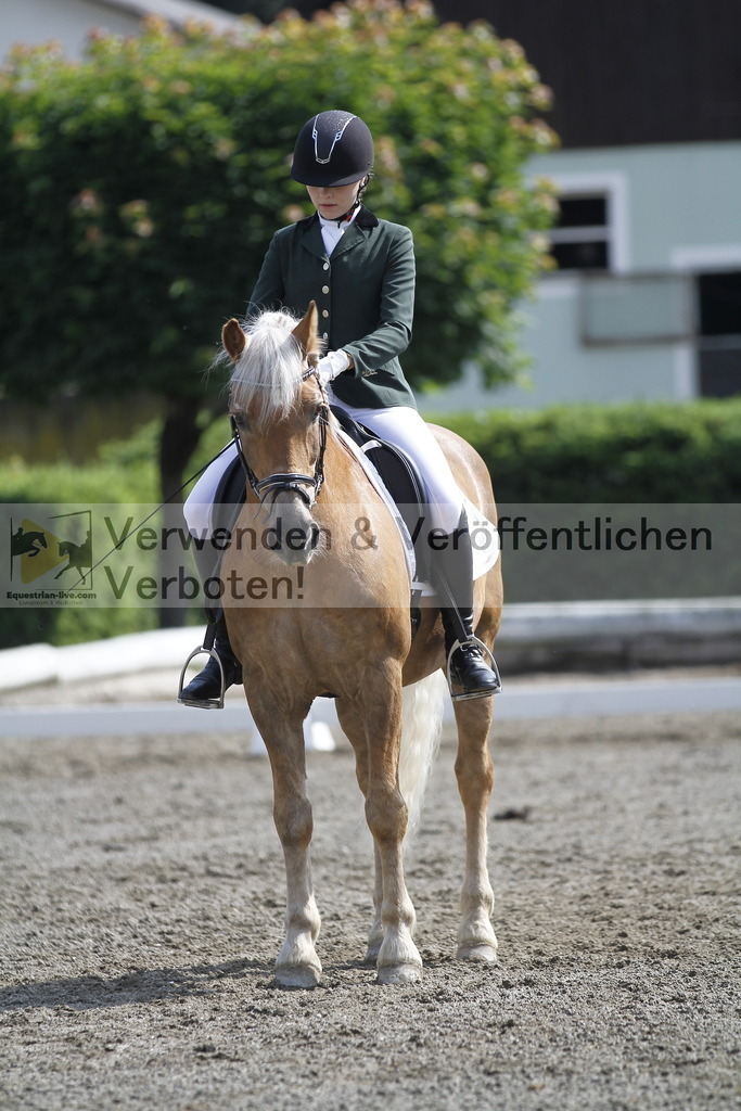 _MG_9565 | equestrian-live-com