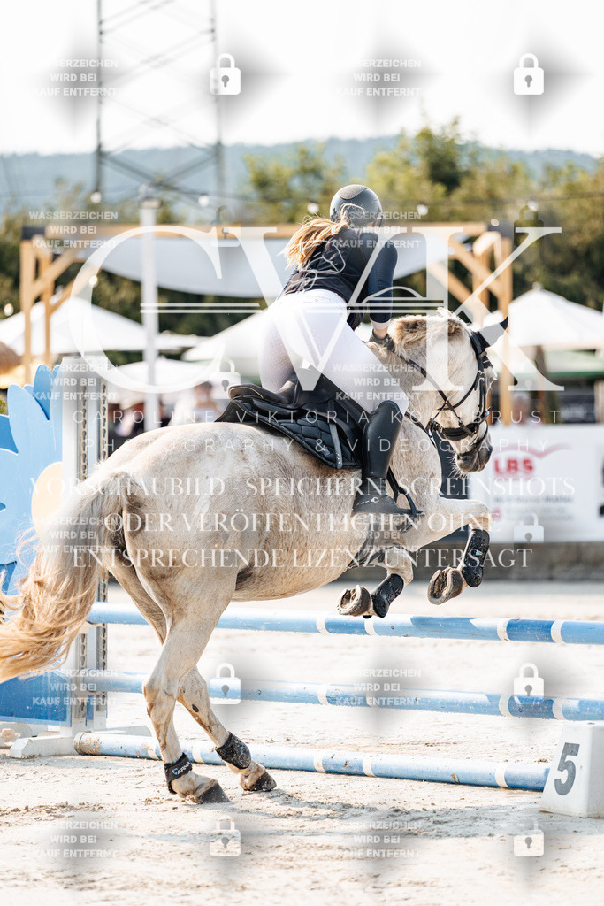 CK902648 | Turnierfotografie Pferdefotografie Trier Rheinland-Pfalz Pferdesport Reitsport Tierfotografie Sportfotografie Pferdevideo Pferdevideografie Equestrianvideography equestrianphotography  - Realisiert mit Pictrs.com