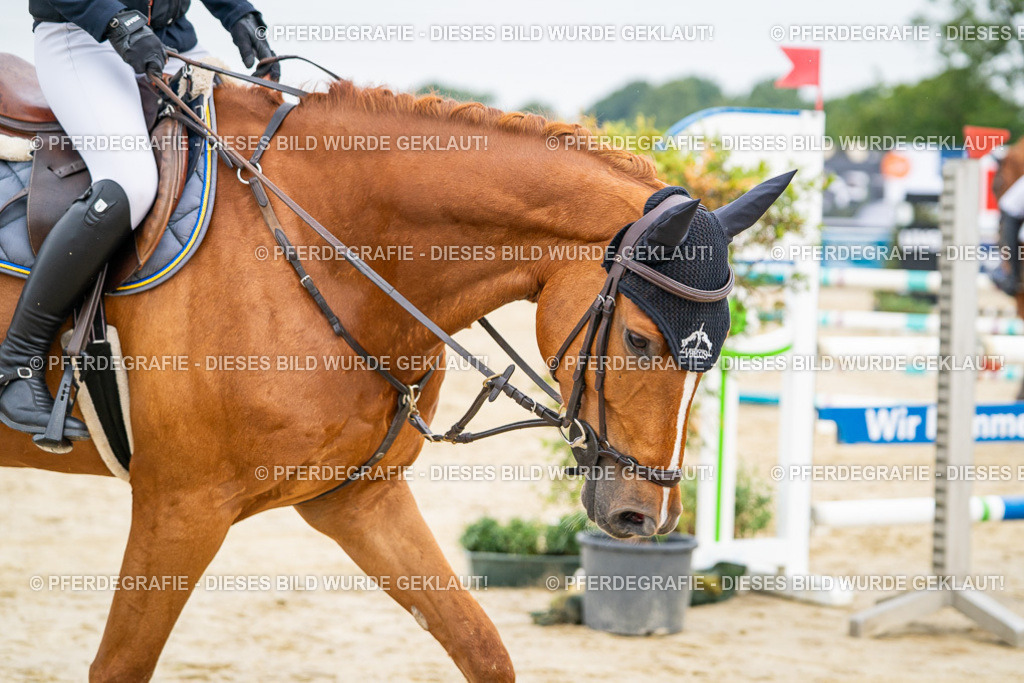 DSC09511 | Pferdegrafie