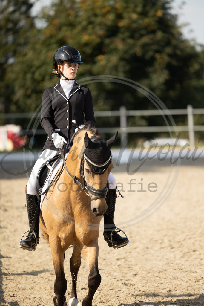 994A1597 | sabrinanicolaifotografie - Realisiert mit Pictrs.com