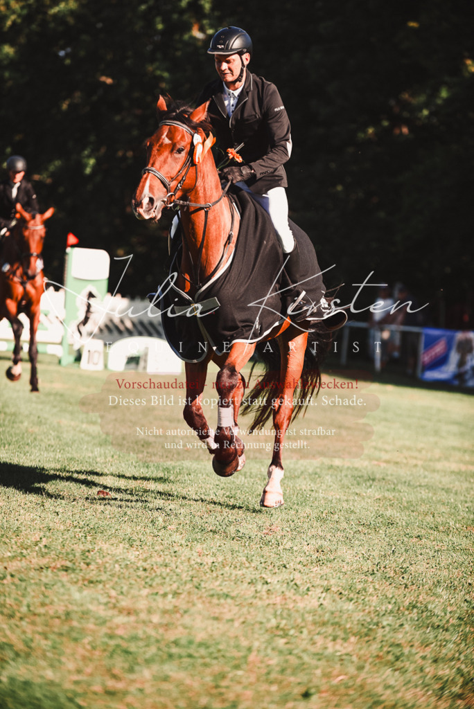 DSC_2315 | Pferde- und Turnierfotografie in Westsachsen. Pferdeportraits, Auftragszeichnungen und intuitive Kunst.