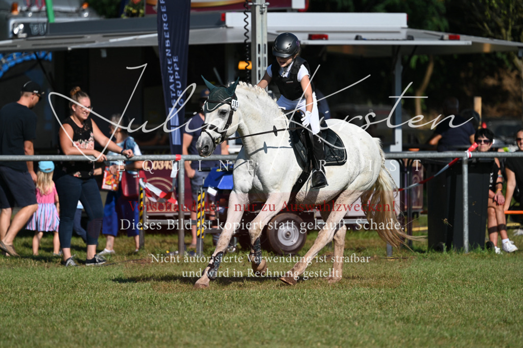 DSC_5204 | Pferde- und Turnierfotografie in Westsachsen. Pferdeportraits, Auftragszeichnungen und intuitive Kunst.