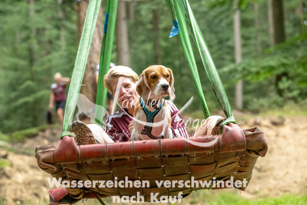 1154_ZZ90989-Bearbeitet | kk-dogfotos