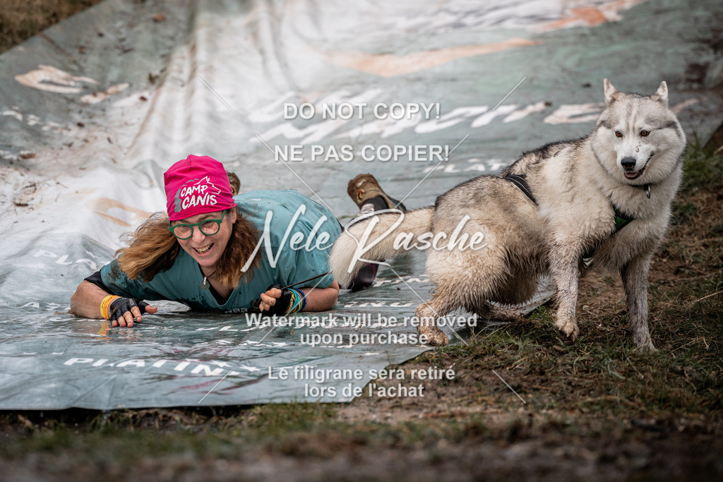 nelerasche_1330-1400_43 | nelerasche