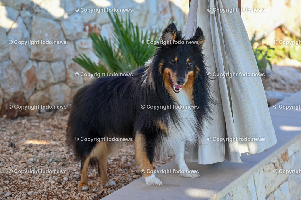 Kroatien_ 2022-14 | 11.09.2022, Kroatien, HRV, Gespannschaft Split-Dalmatien im Bild Vinišće