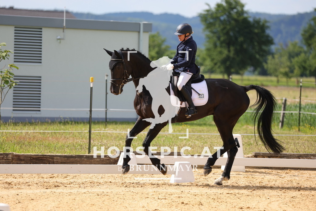 0P6A9103 | Willkommen bei Brunnmayr - Design & Fotografie – Ihrem Spezialisten für Reitturniere und Pferdeveranstaltungen in Oberösterreich, Salzburg und Bayern! Seit über 17 Jahren sind wir leidenschaftlich dabei.