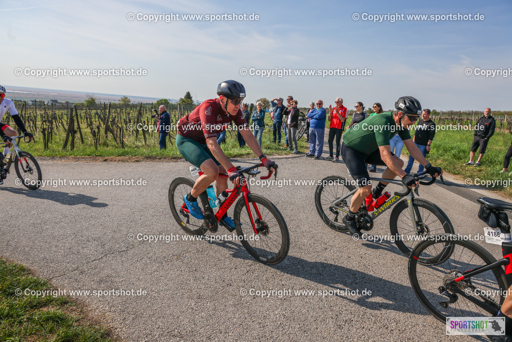 007A0120 | Neusiedlersee Radmarathon #neusiedlerseeradmarathon #neusiedlersee #nrm26 #yourpictrs #sportshot_your_pictrs