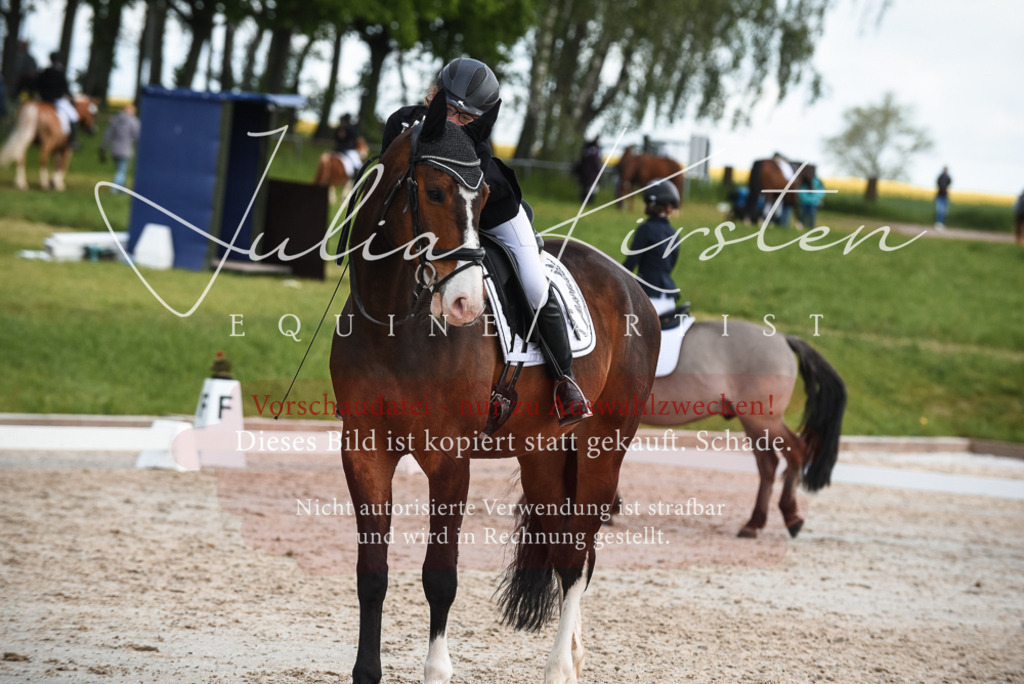 20230518_JK-Röhrsdorf-09-1670 | Pferde- und Turnierfotografie in Westsachsen. Pferdeportraits, Auftragszeichnungen und intuitive Kunst.