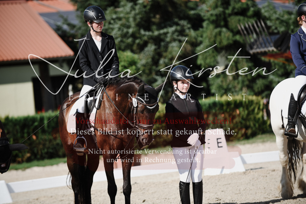 DSC_0178 | Pferde- und Turnierfotografie in Westsachsen. Pferdeportraits, Auftragszeichnungen und intuitive Kunst.