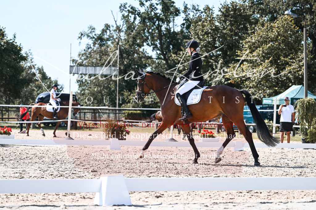 DSC_5059 | Pferde- und Turnierfotografie in Westsachsen. Pferdeportraits, Auftragszeichnungen und intuitive Kunst.