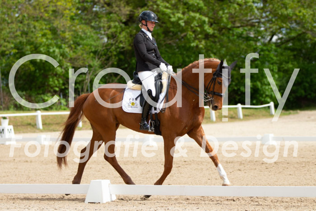 IMG_6866 | Creatify Fotografie