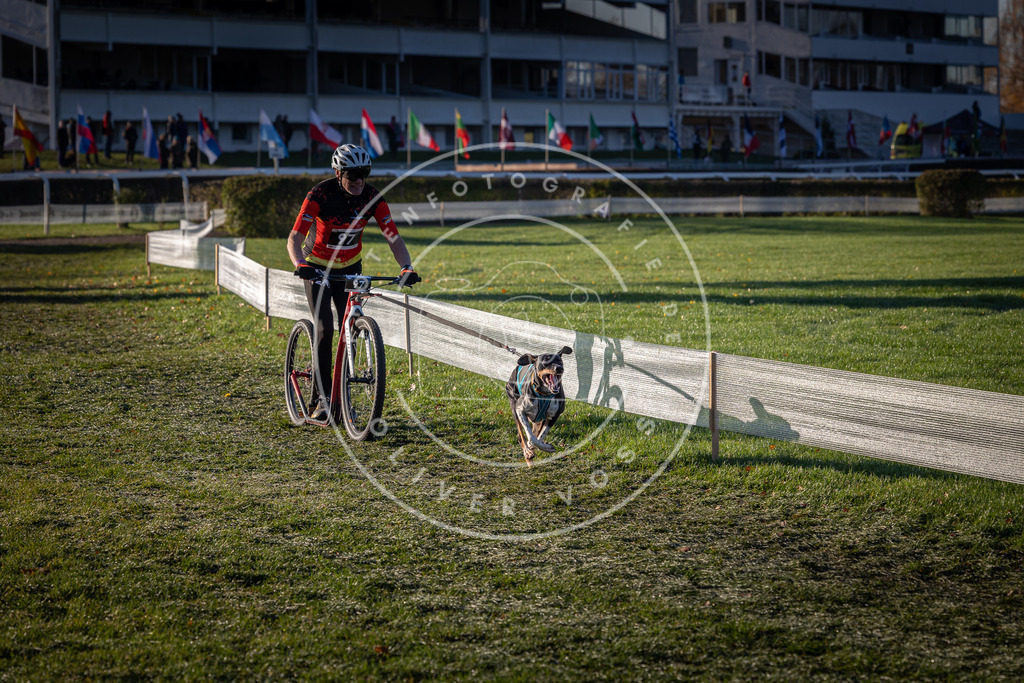 CaniXpix_0L8A3945 | Hundefotografie, Tierfotograf, Pfotenfotografie, Fotoshooting Hund, Hunde Portrait, Hundesport, Hundeportraits, Heideshooting, Hunde, Sportfotograf, Hundefotograf, Turnierhundsport, THS,  - Realisiert mit Pictrs.com