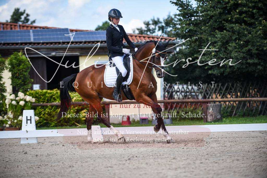 DSC_9495 | Pferde- und Turnierfotografie in Westsachsen. Pferdeportraits, Auftragszeichnungen und intuitive Kunst.