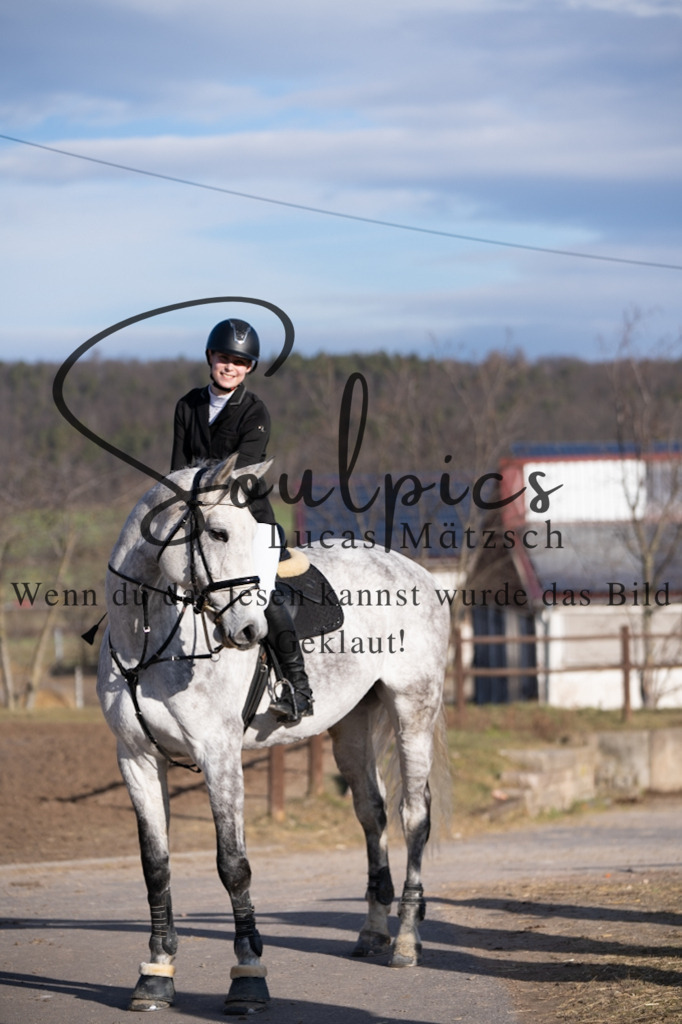 A7V02098 | Pferdefotograf