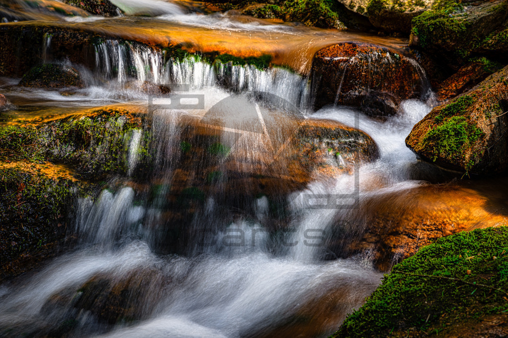 Allerheiligen Wasserfälle | Diese Wasserfälle gehören zu den größten und schönsten im Schwarzwald. Man fühlt sich fast wie im Hochgebirge Österreichs oder der Schweiz. Der 1840 erschlossene Wasserfall fällt über mehrere Ebenen knapp 90 Meter in die Tiefe während Wanderer ihn auf seinem Weg auf Pfaden, Treppen und über Brücken hinweg begleiten können. - Realisiert mit Pictrs.com